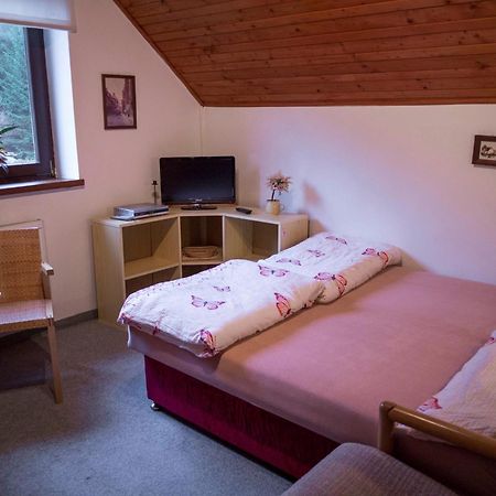 Apartment Harrachov/Riesengebirge 2400 Экстерьер фото